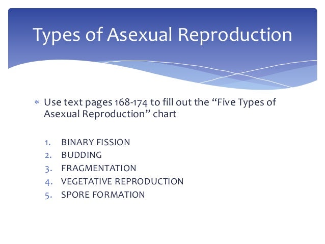 3 types of asexual reproduction photos 658
